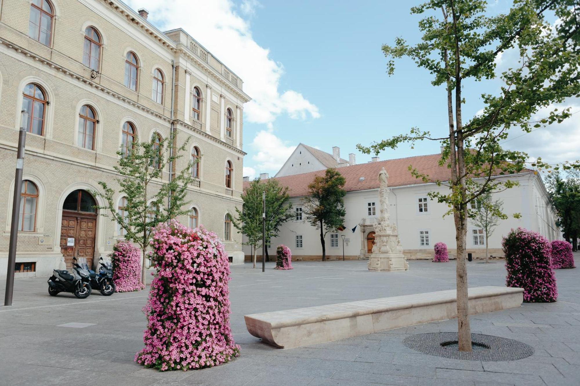 Contessa Central Studio Kluž Exteriér fotografie