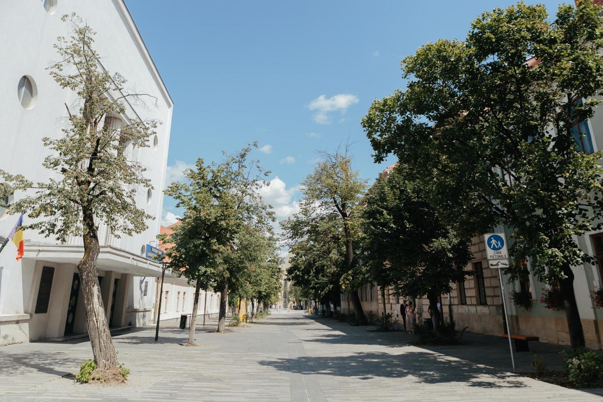 Contessa Central Studio Kluž Exteriér fotografie